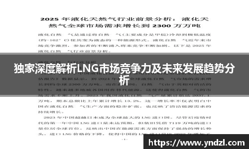 独家深度解析LNG市场竞争力及未来发展趋势分析