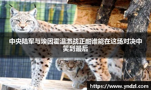 中央陆军与埃因霍温激战正酣谁能在这场对决中笑到最后