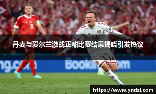 丹麦与爱尔兰激战正酣比赛结果揭晓引发热议